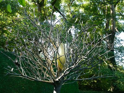 Cawdor Castle and Gardens