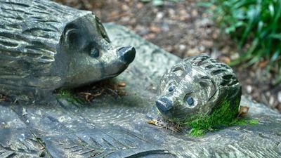 Cawdor Castle and Gardens