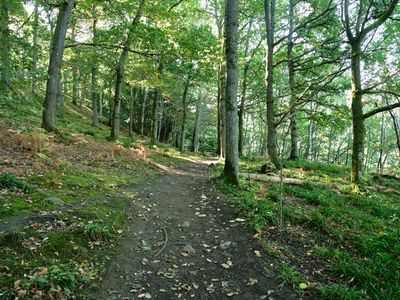 Pitlochry