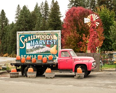 Smallwood's Harvest