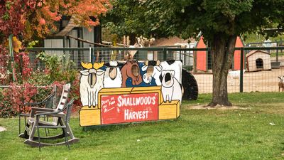 Smallwood's Harvest