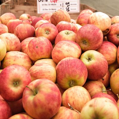Smallwood's Harvest