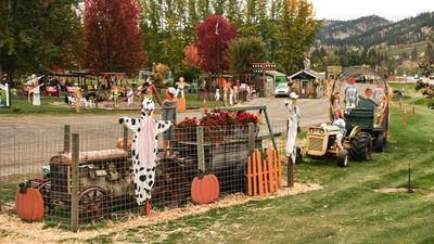 Smallwood's Harvest
