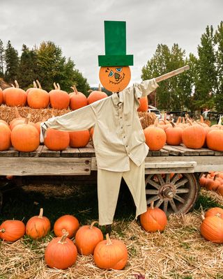 Smallwood's Harvest
