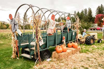 Smallwood's Harvest