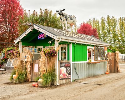 Smallwood's Harvest