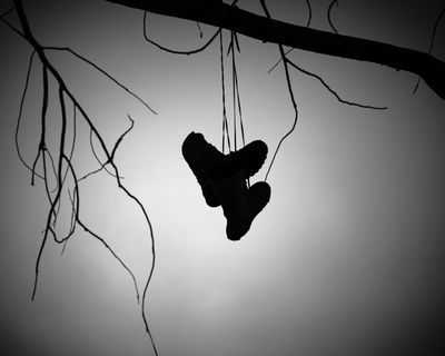 Shoe Tree - Banks Lake