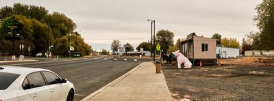 Wilbur the Pig