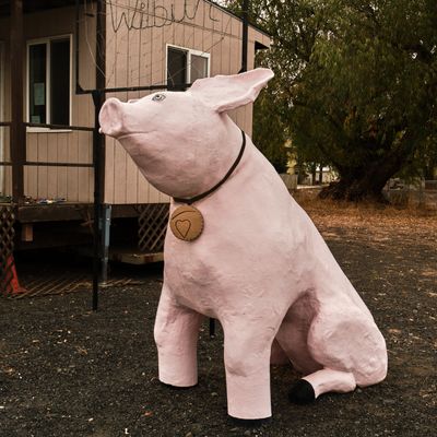 Wilbur the Pig