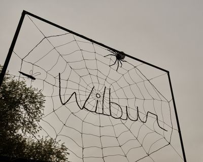 Wilbur the Pig