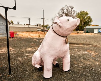 Wilbur the Pig