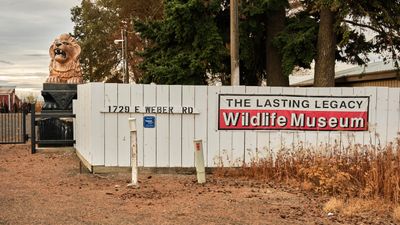Lasting Legacy Wildlife Museum