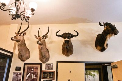 Lasting Legacy Wildlife Museum