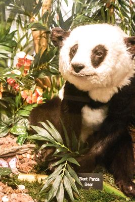 Lasting Legacy Wildlife Museum
