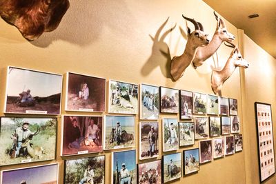 Lasting Legacy Wildlife Museum