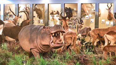 Lasting Legacy Wildlife Museum