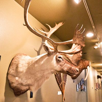 Lasting Legacy Wildlife Museum