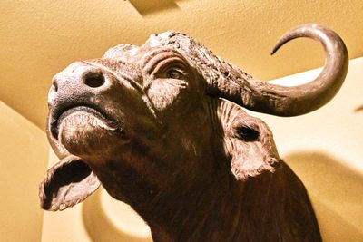 Lasting Legacy Wildlife Museum