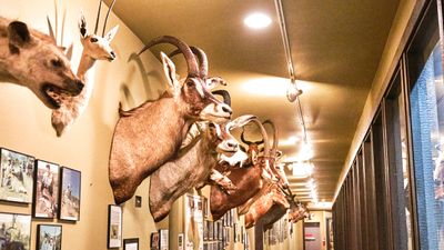 Lasting Legacy Wildlife Museum