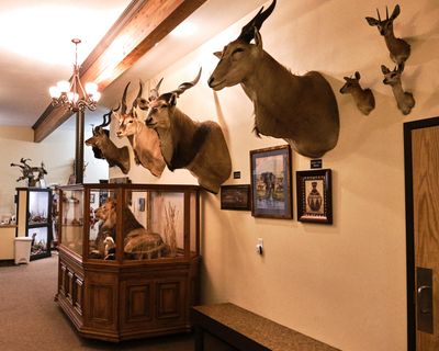 Lasting Legacy Wildlife Museum