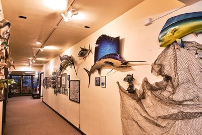 Lasting Legacy Wildlife Museum