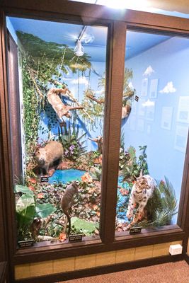 Lasting Legacy Wildlife Museum
