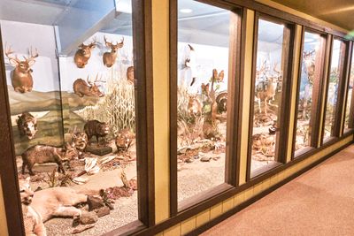 Lasting Legacy Wildlife Museum