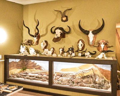 Lasting Legacy Wildlife Museum