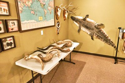 Lasting Legacy Wildlife Museum
