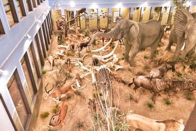 Lasting Legacy Wildlife Museum