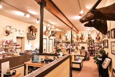Lasting Legacy Wildlife Museum