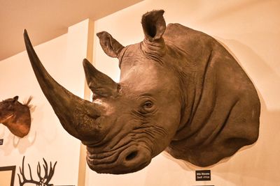 Lasting Legacy Wildlife Museum