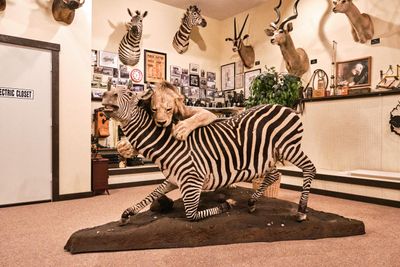 Lasting Legacy Wildlife Museum