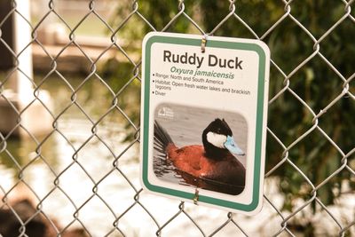 Pioneer Park Aviary