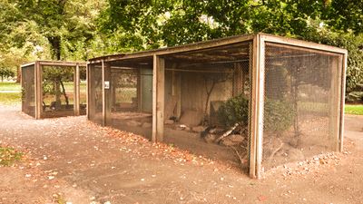 Pioneer Park Aviary
