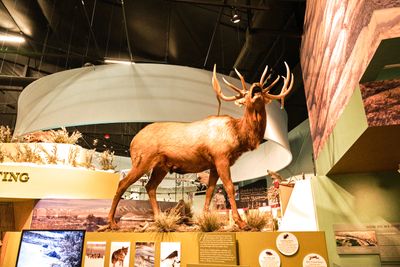 REACH Museum