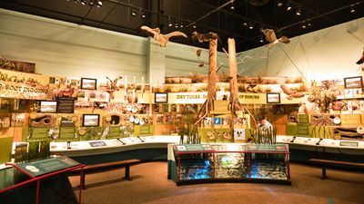 REACH Museum