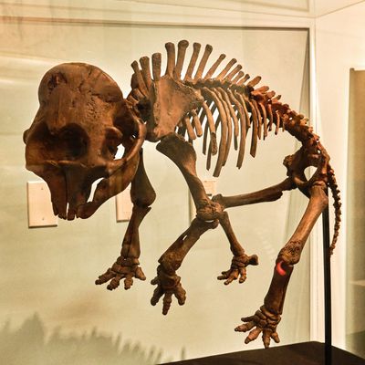 REACH Museum