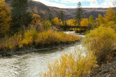 Tieton River Nature Trail