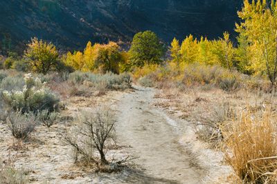 Tieton River Nature Trail