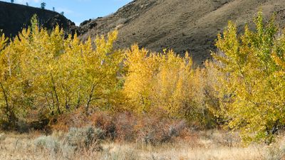 Tieton River Nature Trail