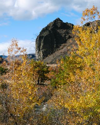 Tieton River Nature Trail