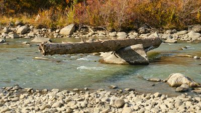 Tieton River Nature Trail