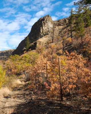 Tieton River Nature Trail