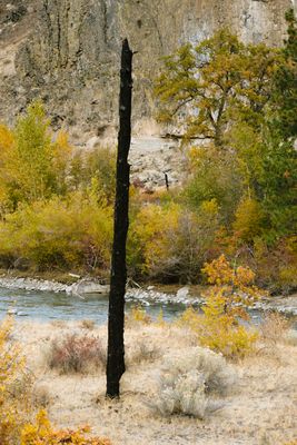 Tieton River Nature Trail