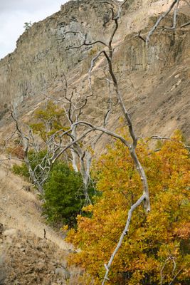 Tieton River Nature Trail