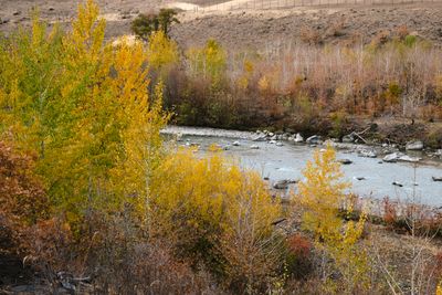 Tieton River Nature Trail