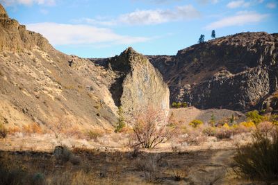 Tieton River Nature Trail