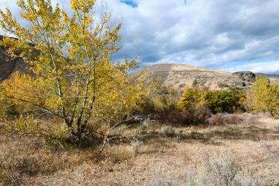 Tieton River Nature Trail