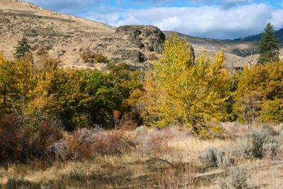 Tieton River Nature Trail